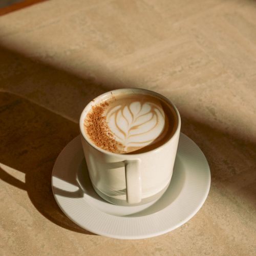A hot cup of latte with leaf latte art sits on a white saucer, bathed in warm sunlight and soft shadows.